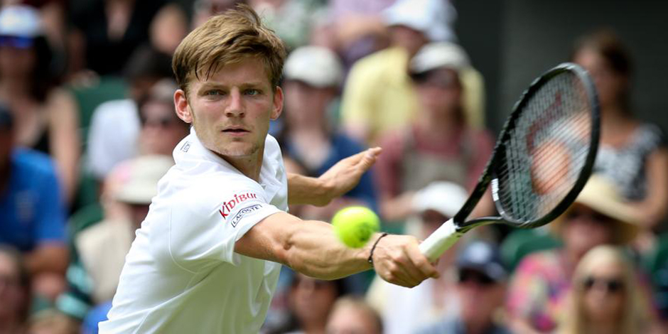 David Goffin Joueur tennis belge